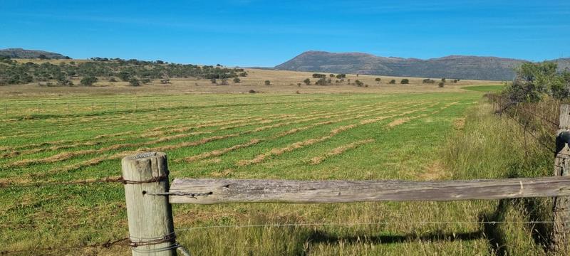 4 Bedroom Property for Sale in Queenstown Rural Eastern Cape